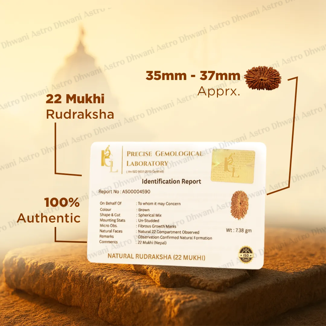 Nepali 22 Mukhi Rudraksha (Twenty-Two Faced) for Wealth, Luxury & Business Growth