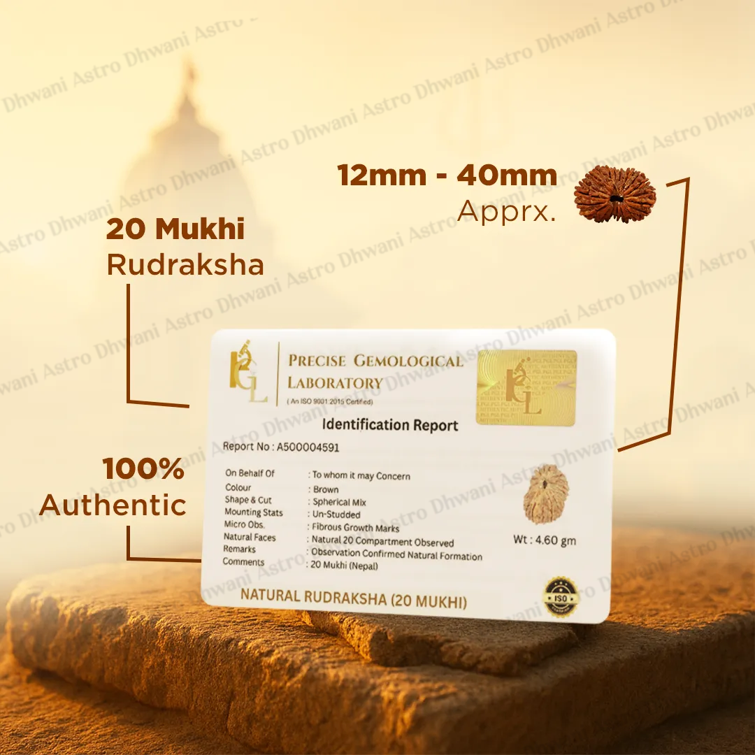 Nepali 20 Mukhi Rudraksha (Twenty-Faced) for Knowledge, Wisdom & Spiritual Growth