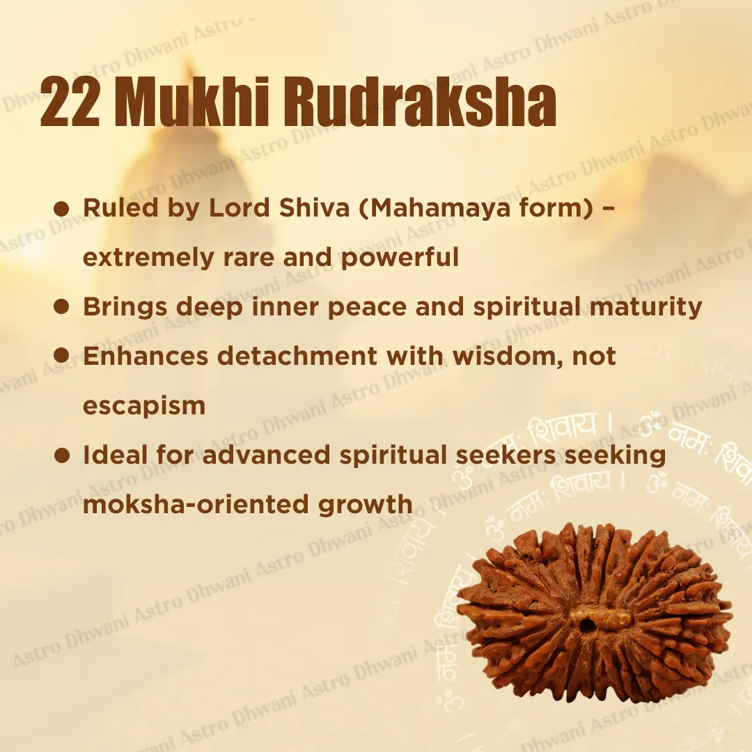 Nepali 22 Mukhi Rudraksha (Twenty-Two Faced) for Wealth, Luxury & Business Growth