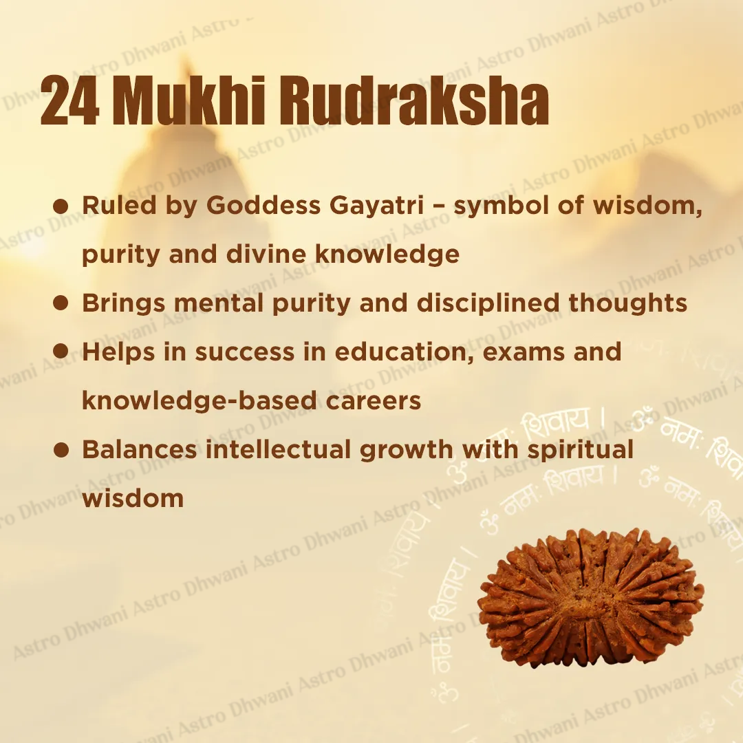 Nepali 24 Mukhi Rudraksha (Twenty-Fourth Faced) for Wisdom, Enlightenment & Spiritual Growth