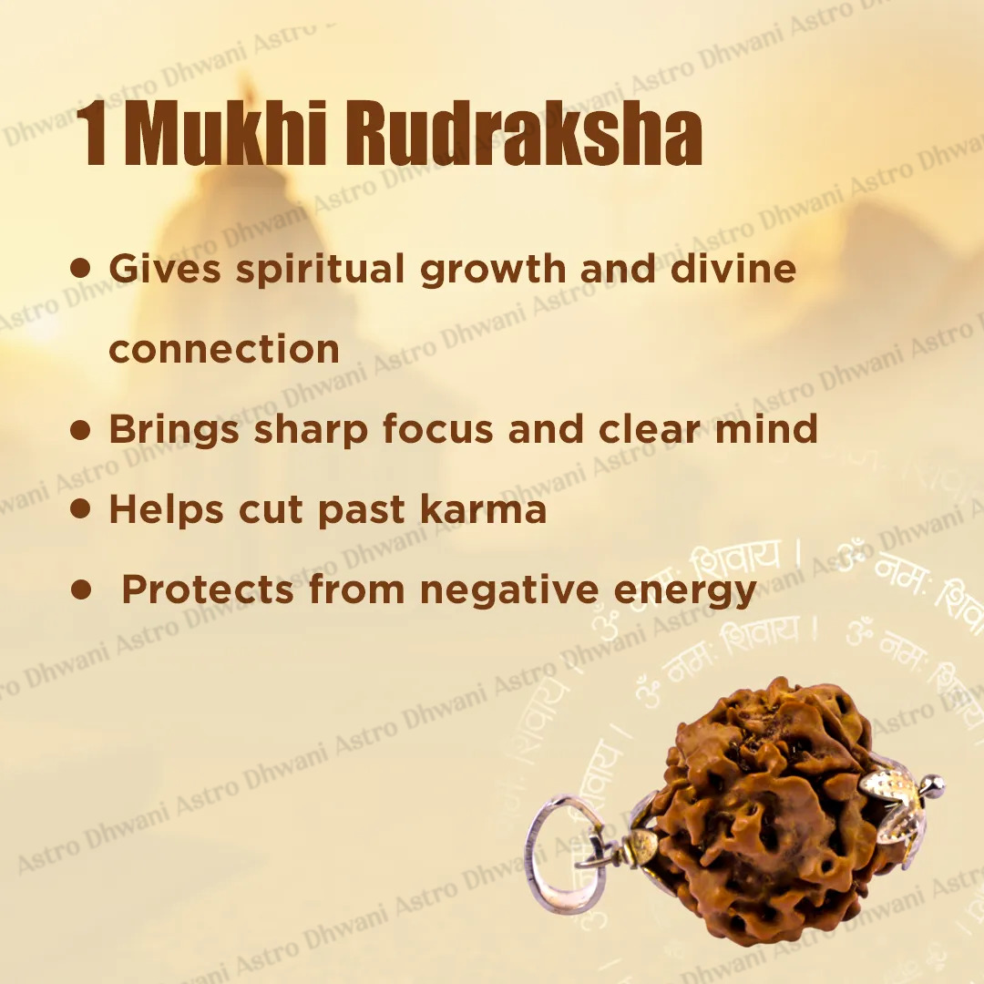 Nepali 1 Mukhi Rudraksha (One Faced) for Spiritual Awakening & Inner Peace