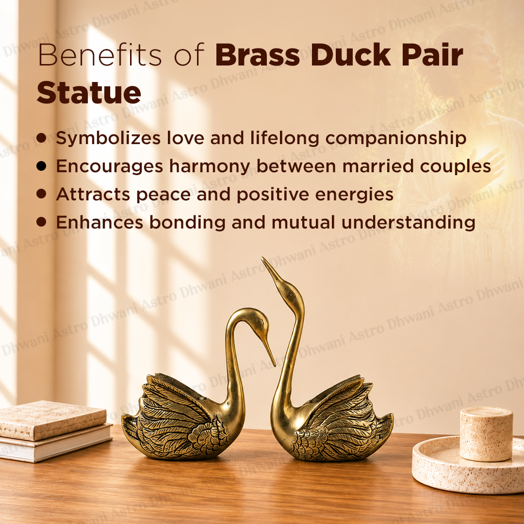 Brass Duck Pair Statue for Love, Harmony & Prosperity