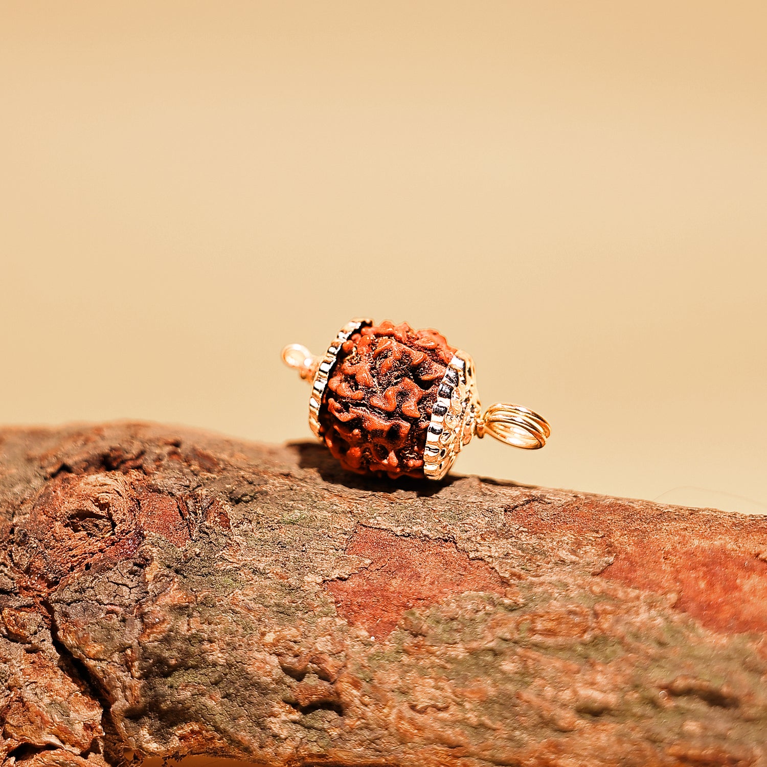 Nepali 6 Mukhi Rudraksha ( Six Faced) - Abhimantrit & Certified