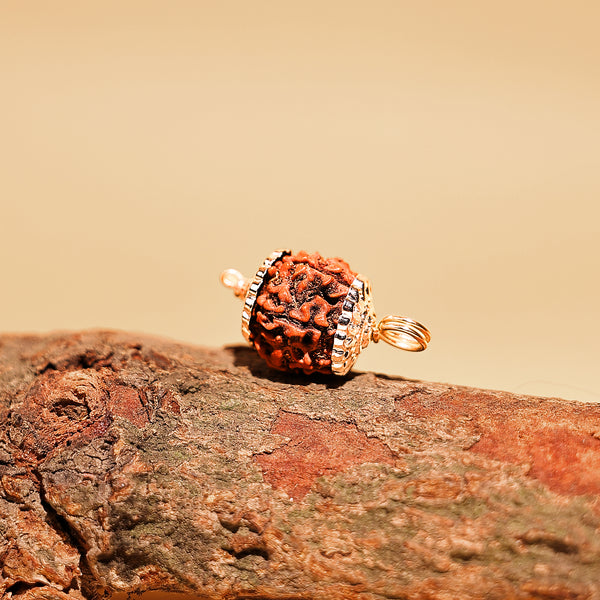 Nepali 6 Mukhi Rudraksha ( Six Faced) - Abhimantrit & Certified
