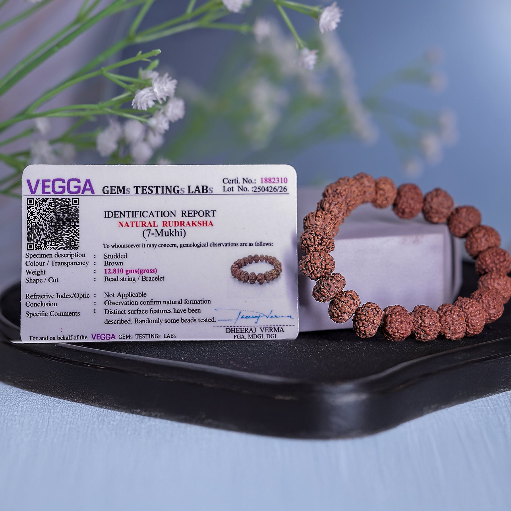 7 Mukhi Rudraksha Bracelet (Seven Faced) - Abhimantrit & Certified