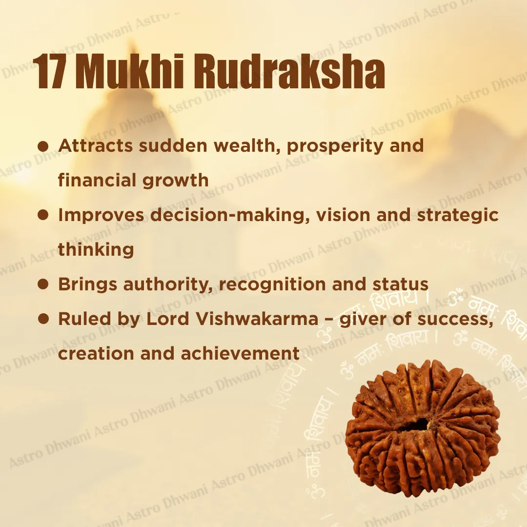 Nepali 17 Mukhi Rudraksha (Seventeen-Faced) for Wealth, Success & Manifestation