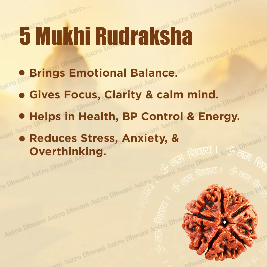 5 Mukhi Rudraksha (Five Faced) for Peace, Protection & Daily Wear