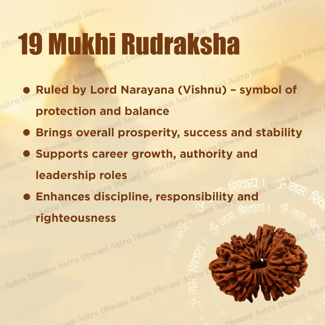 Nepali 19 Mukhi Rudraksha (Nineteen-Faced) for Wealth, Prosperity & Success