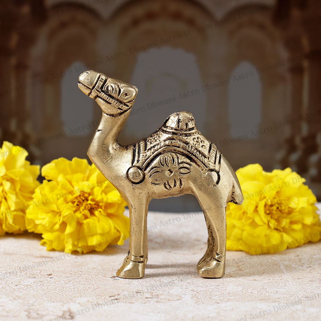 Brass Camel Statue for Home Decor, Vastu & Prosperity