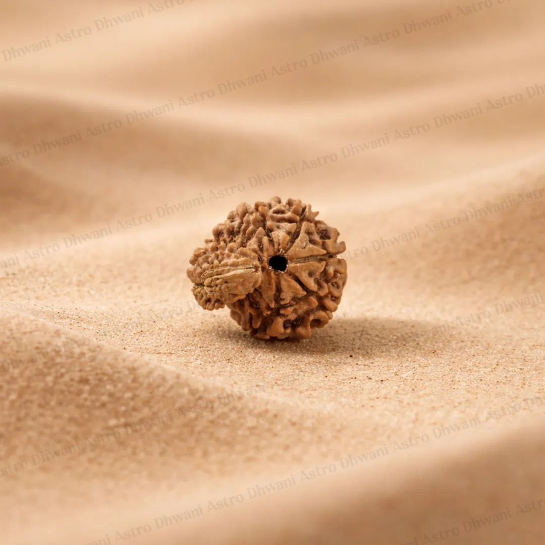 Garbh Gauri Rudraksha – Santan Sukh Protection & Divine Mother Energy