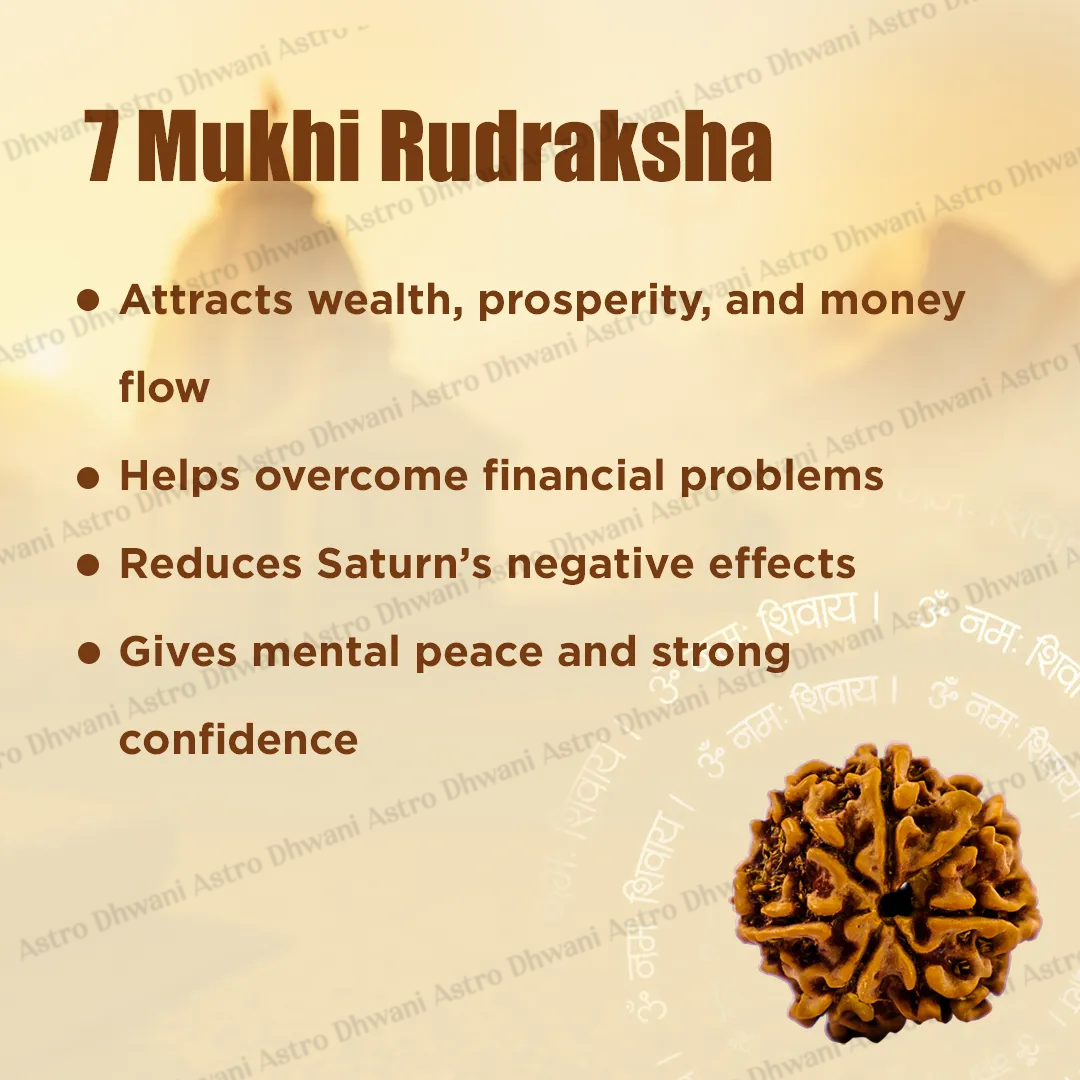 Nepali 7 Mukhi Rudraksha (Seven Faced) for Wealth, Prosperity & Financial Growth