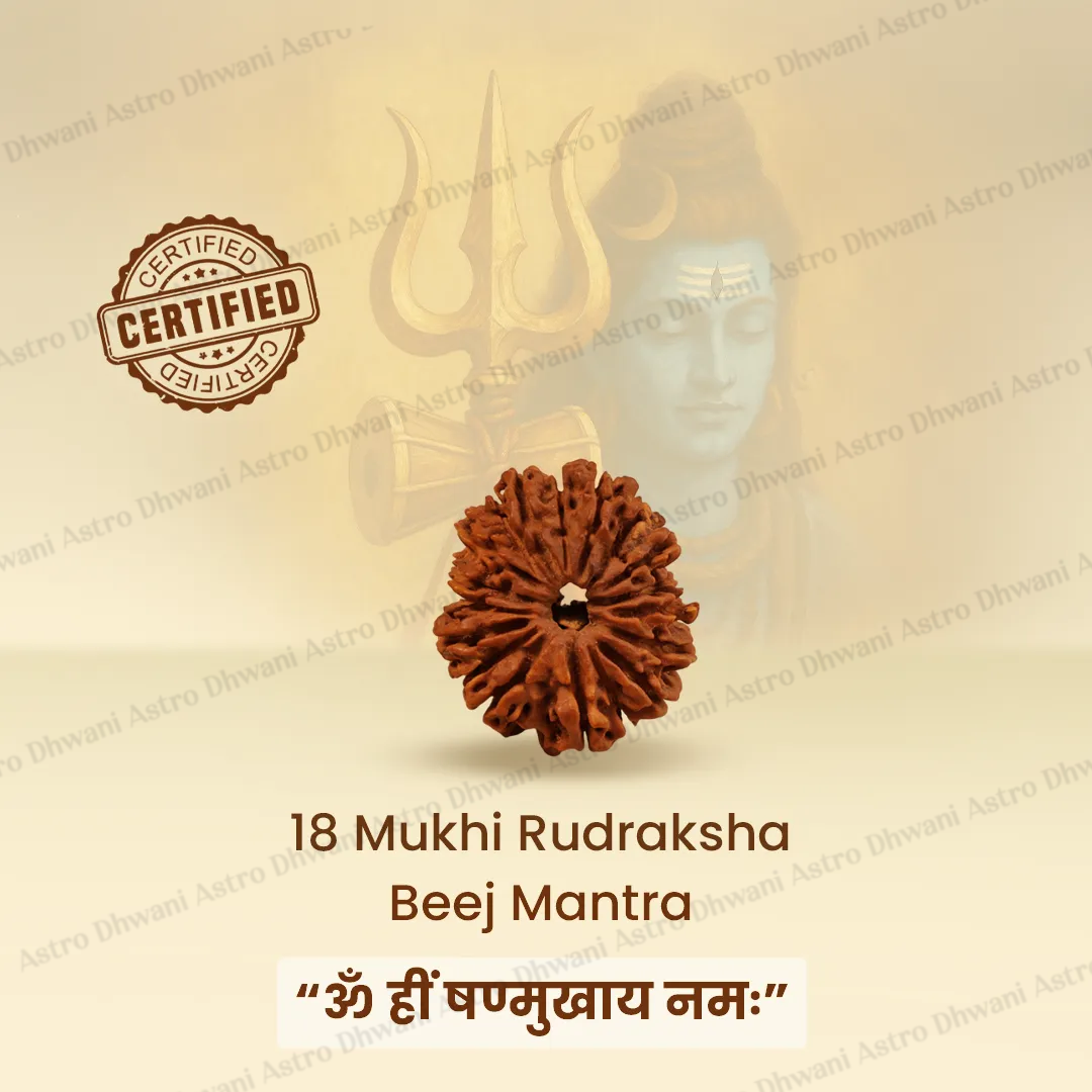 Nepali 18 Mukhi Rudraksha (Eighteen-Faced) for Stability, Prosperity & Grounding
