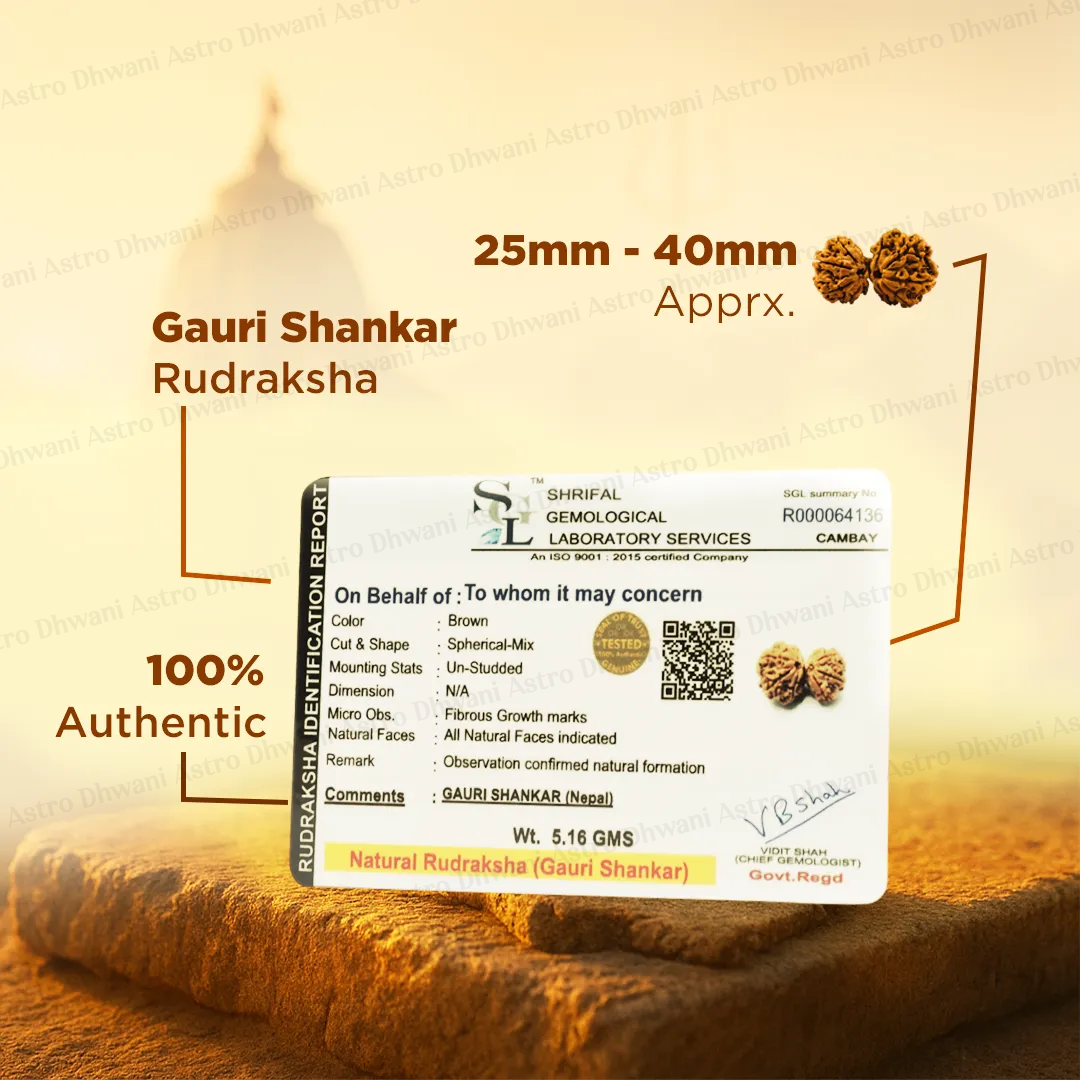Gauri Shankar Rudraksha for Love, Harmony & Spiritual Growth