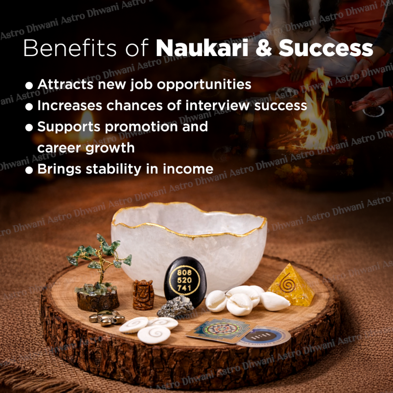 Naukari & Success Bowl - Career Growth & Job Opportunity Bowl