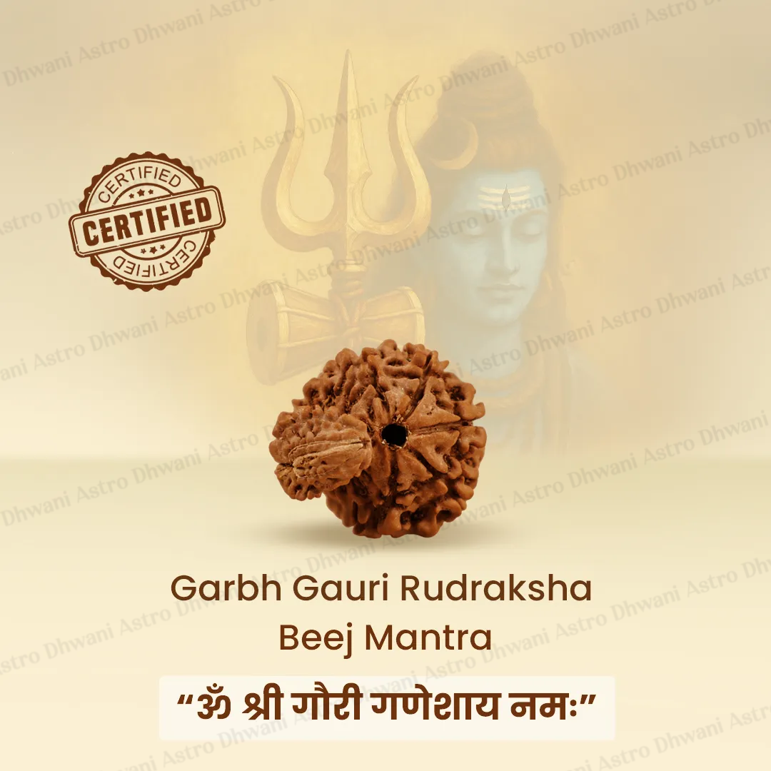 Garbh Gauri Rudraksha – Santan Sukh Protection & Divine Mother Energy