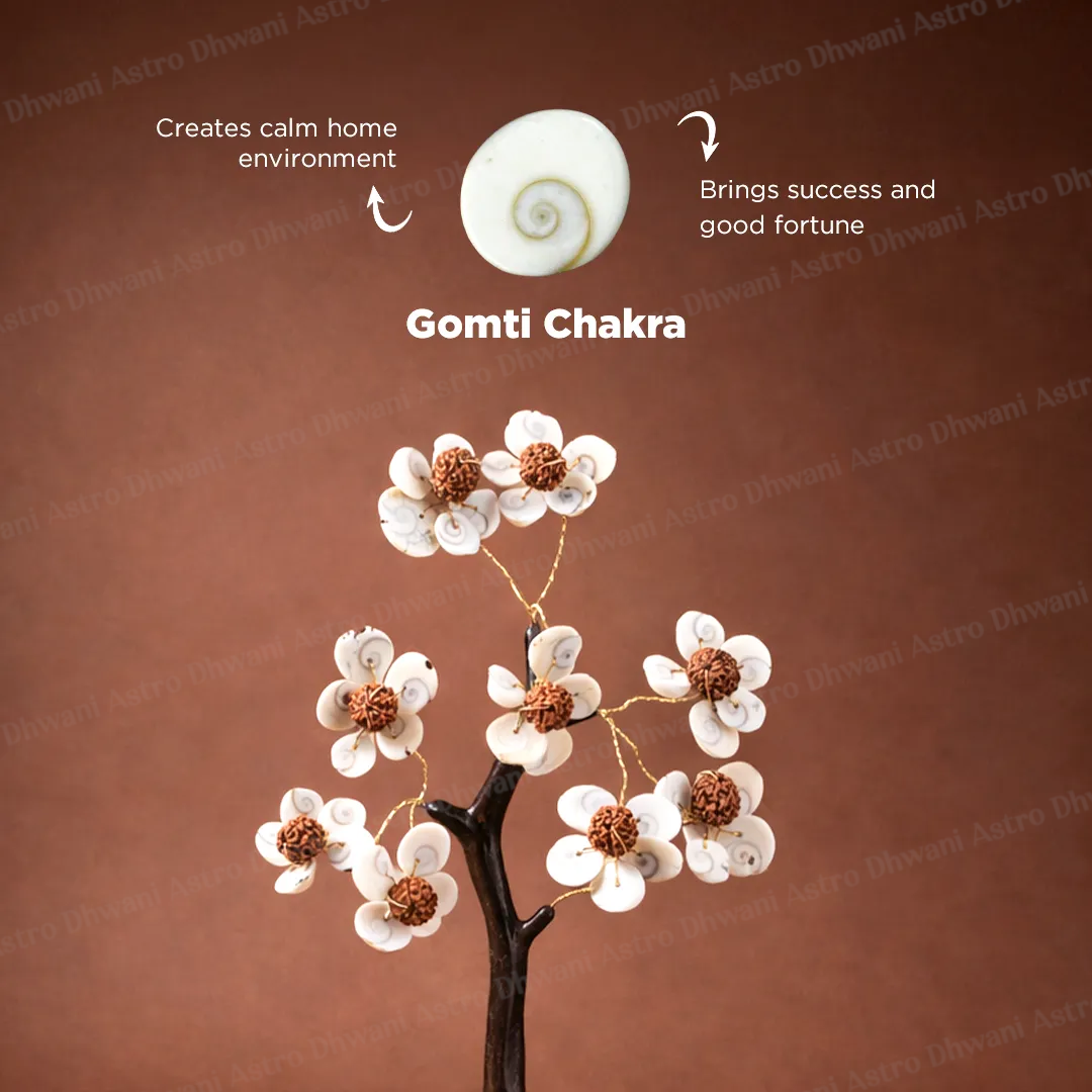 Gomti Chakra & Rudraksh Tree – Protection, Stability & Positive Energy