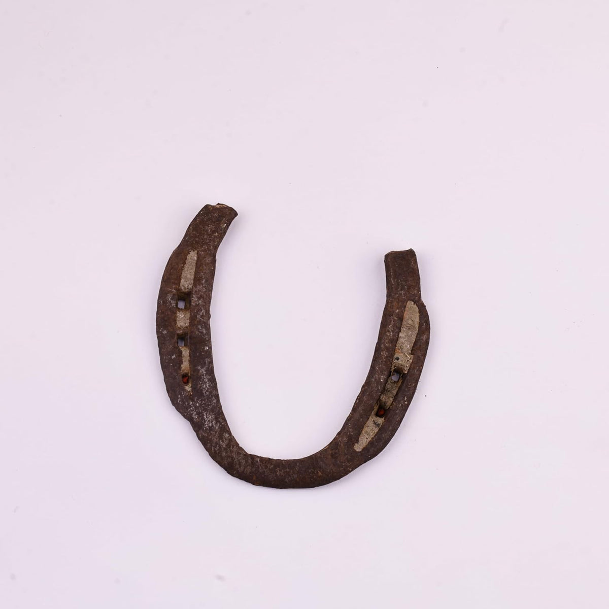 Energised Black Horse Iron Shoe (Kale Ghode ki Naal) for Health Wealth & Luck Good Luck Charm