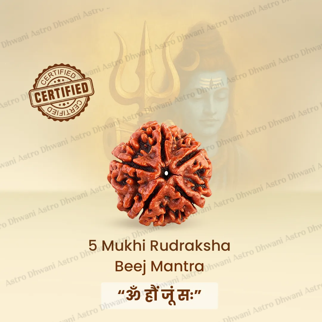 5 Mukhi Rudraksha (Five Faced) for Peace, Protection & Daily Wear