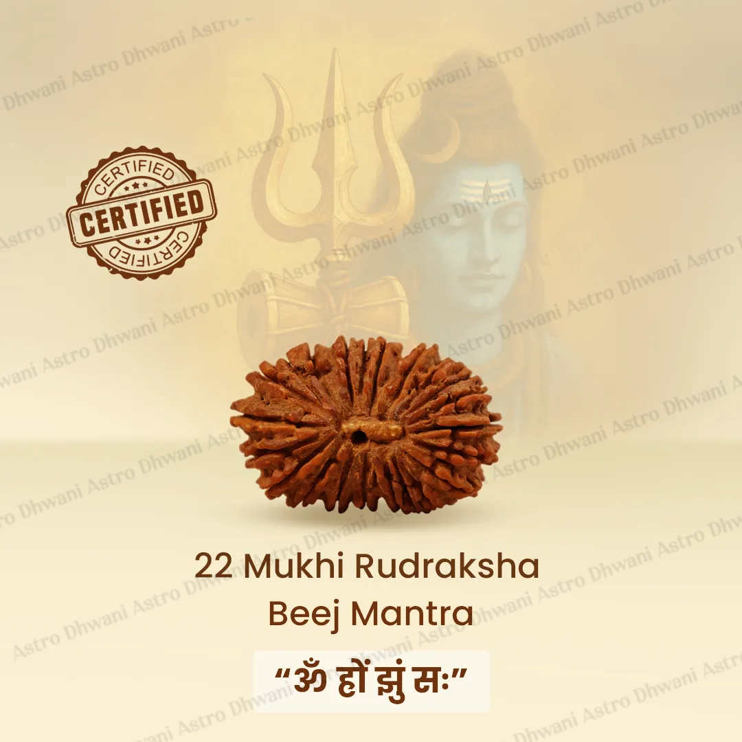Nepali 22 Mukhi Rudraksha (Twenty-Two Faced) for Wealth, Luxury & Business Growth