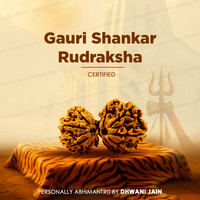 Gauri Shankar Rudraksha for Love, Harmony & Spiritual Growth