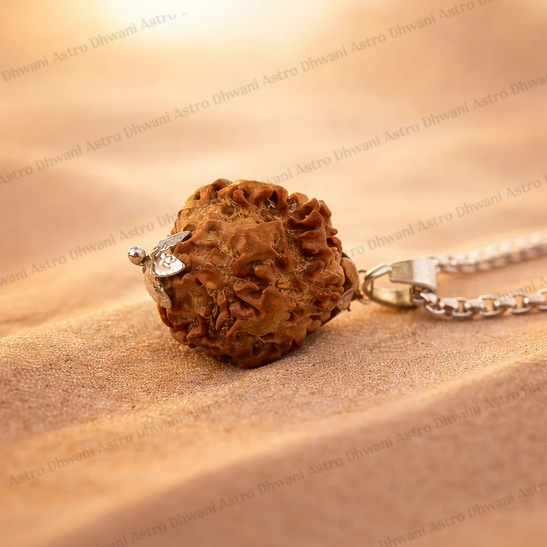 Nepali 1 Mukhi Rudraksha (One Faced) for Spiritual Awakening & Inner Peace