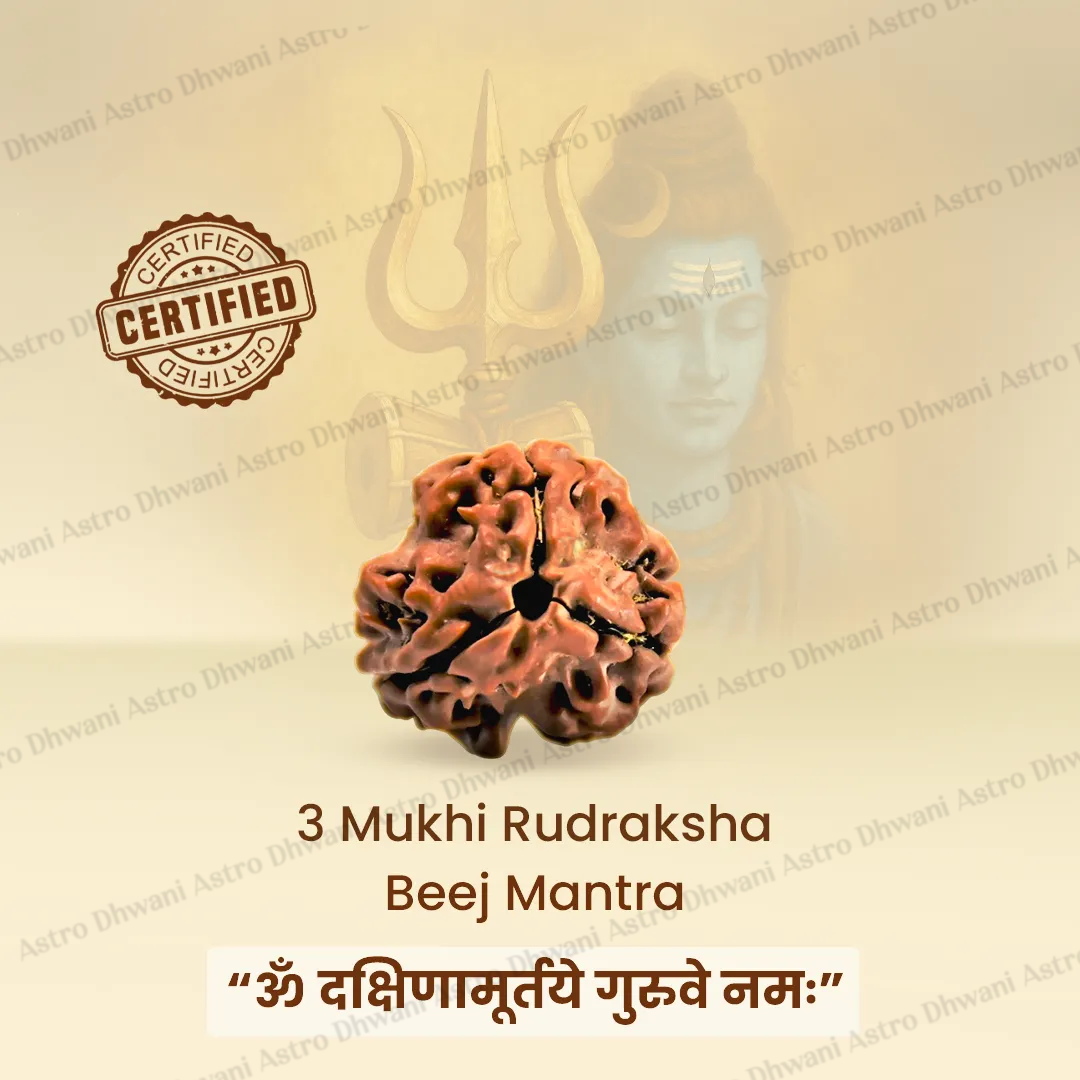 Nepali 3 Mukhi Rudraksha (Three Faced) for Confidence, Healing & New Beginnings