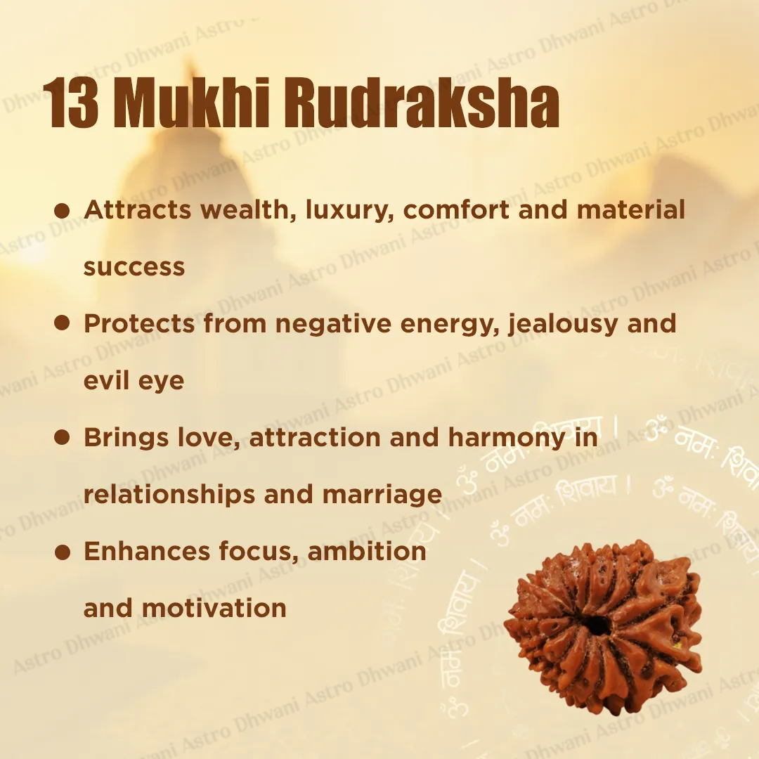 Nepali 13 Mukhi Rudraksha (Thirteen-Faced) for Attraction, Success & Manifestation