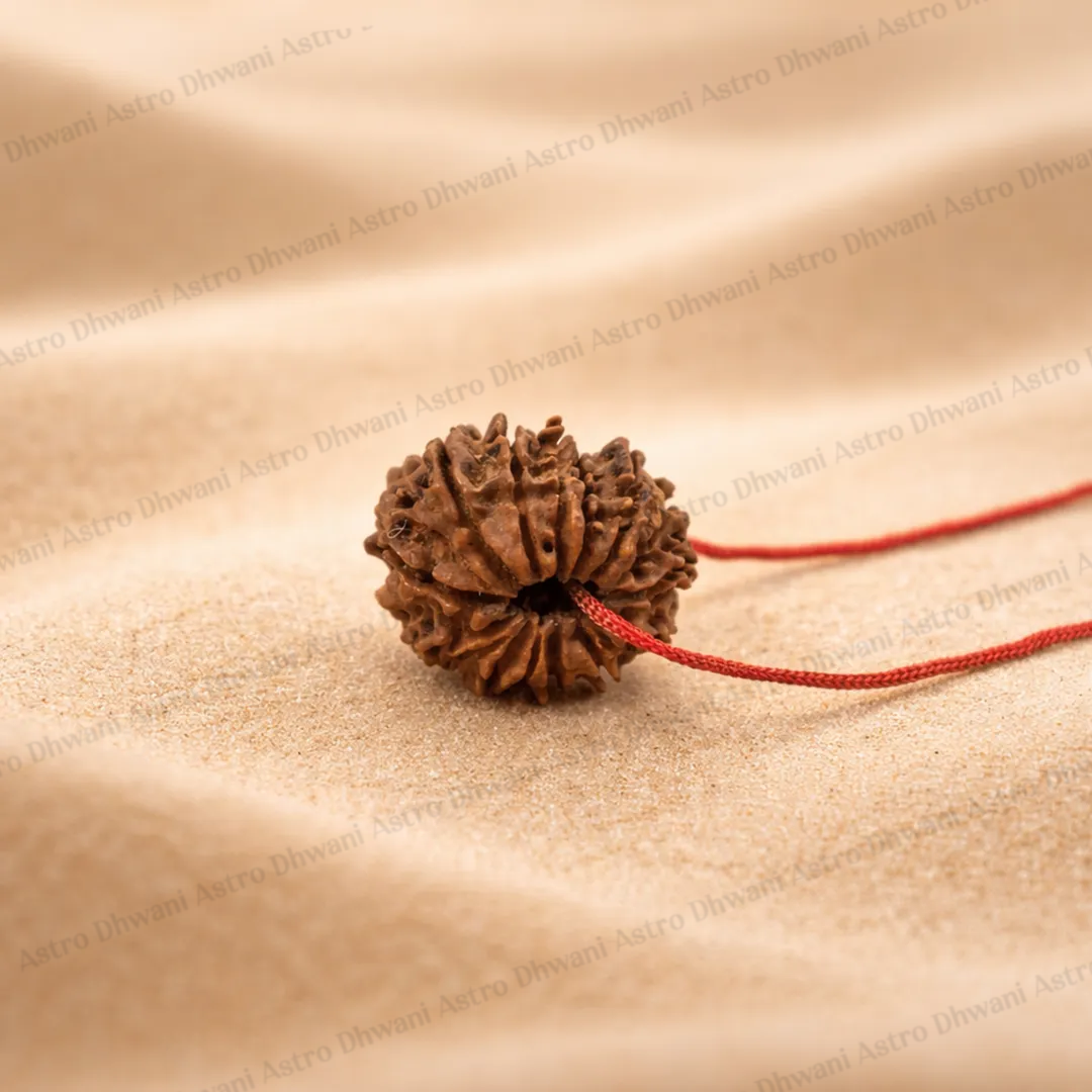 Nepali 18 Mukhi Rudraksha (Eighteen-Faced) for Stability, Prosperity & Grounding
