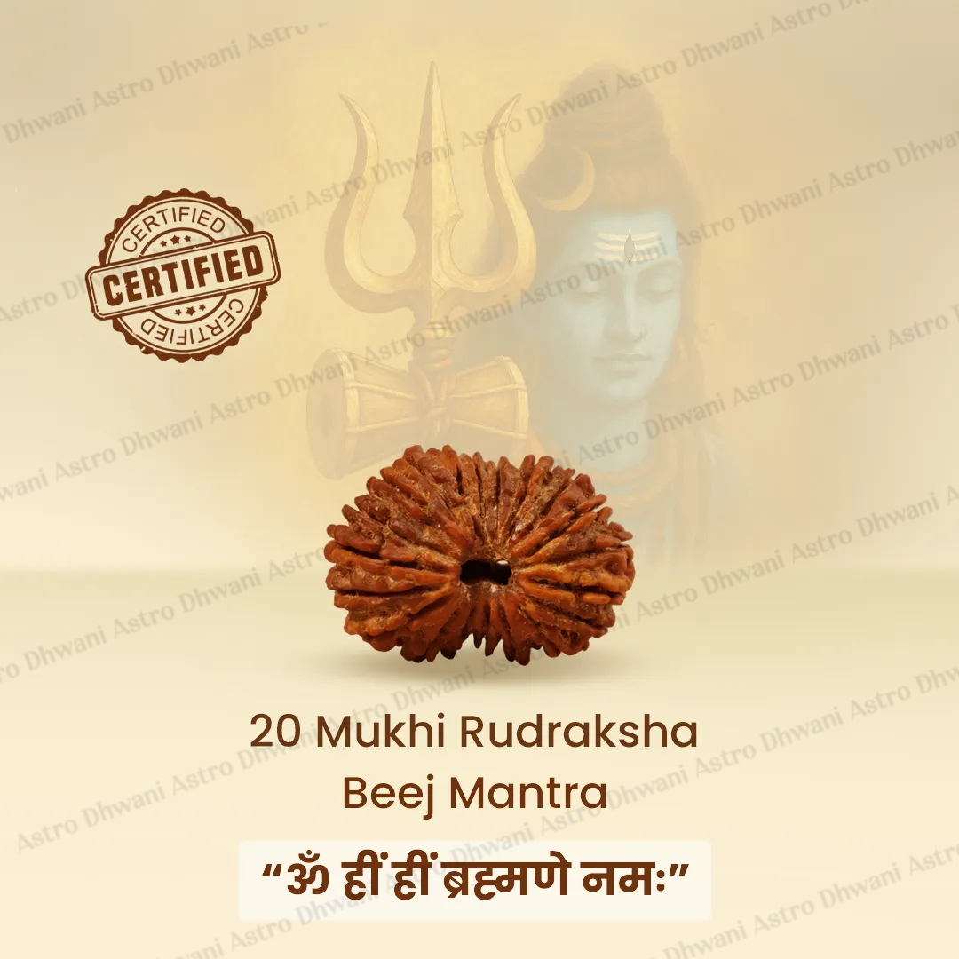 Nepali 20 Mukhi Rudraksha (Twenty-Faced) for Knowledge, Wisdom & Spiritual Growth