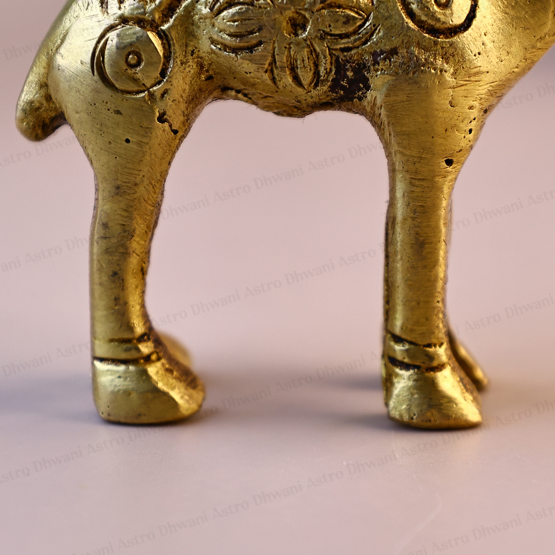 Brass Camel Statue for Home Decor, Vastu & Prosperity
