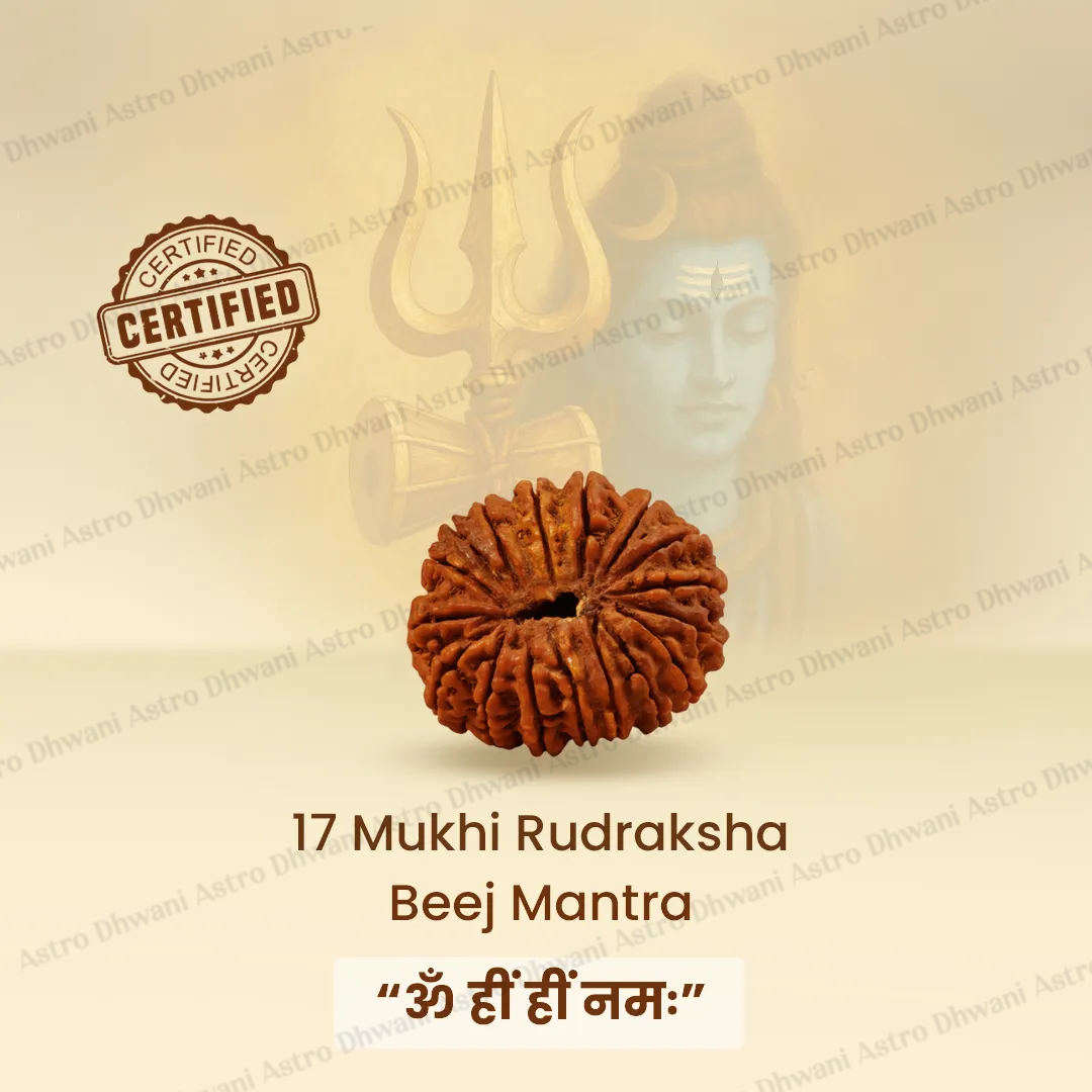 Nepali 17 Mukhi Rudraksha (Seventeen-Faced) for Wealth, Success & Manifestation