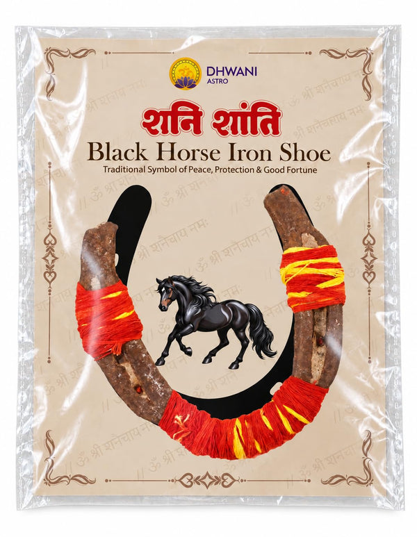 Energised Black Horse Iron Shoe (Kale Ghode ki Naal) for Health Wealth & Luck Good Luck Charm