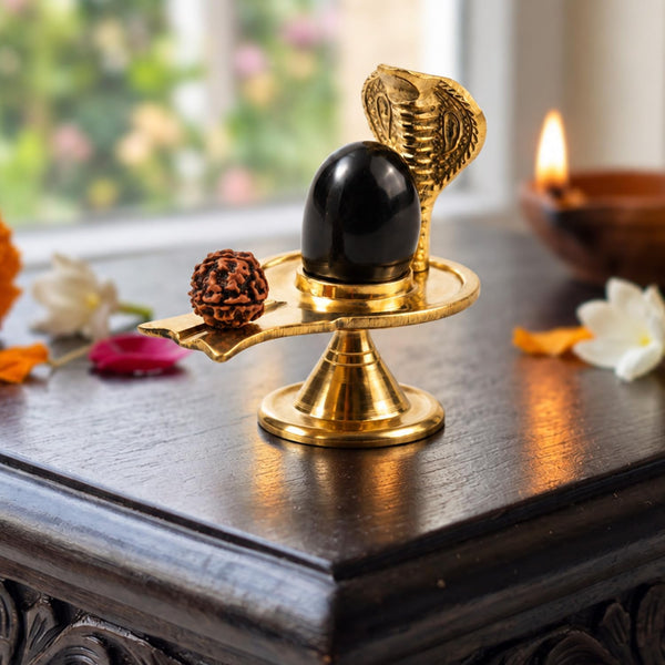 Sheshnag Jalheri Shivling for Home Temple, Abhishek