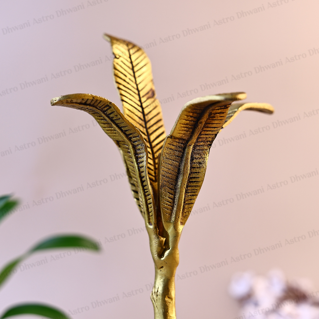 Brass Banana Tree for Growth, Prosperity & Positive Energy