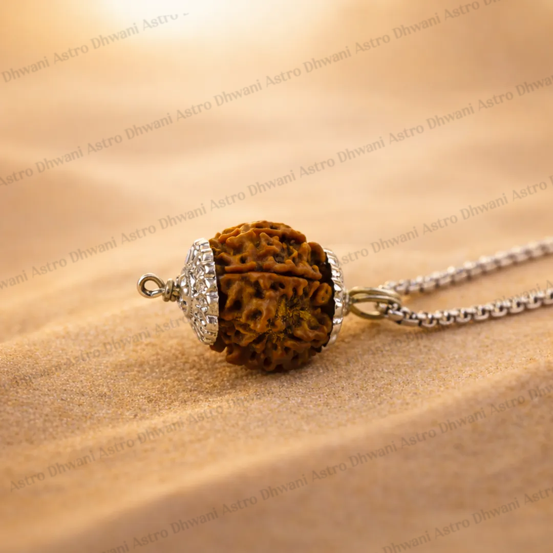 Nepali 7 Mukhi Rudraksha (Seven Faced) for Wealth, Prosperity & Financial Growth