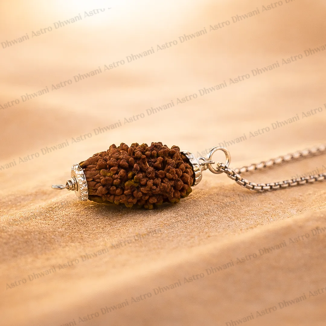 Nepali 2 Mukhi Rudraksha (Two Faced) for Love, Harmony & Relationship Balance