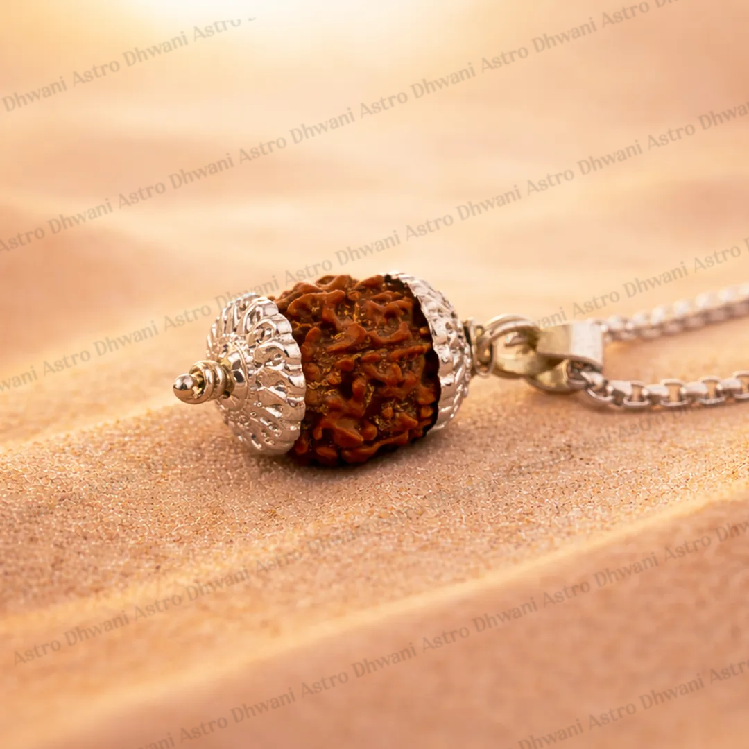 Nepali 6 Mukhi Rudraksha (Six Faced) for Confidence, Control & Success