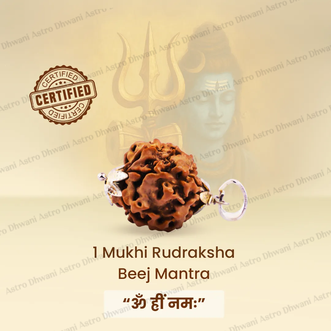 Nepali 1 Mukhi Rudraksha (One Faced) for Spiritual Awakening & Inner Peace