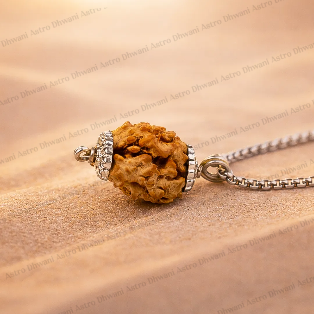 Nepali 3 Mukhi Rudraksha (Three Faced) for Confidence, Healing & New Beginnings