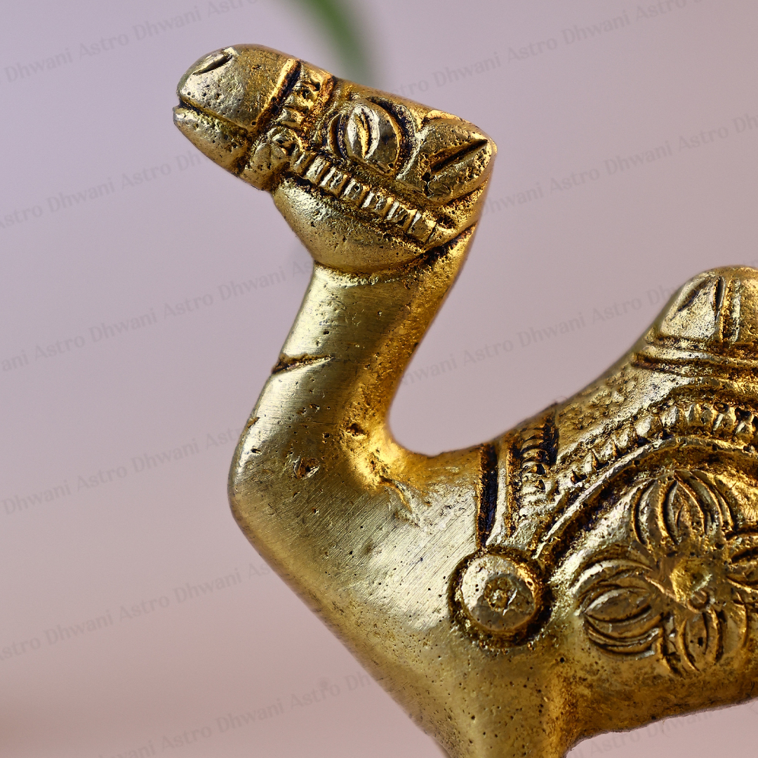 Brass Camel Statue for Home Decor, Vastu & Prosperity