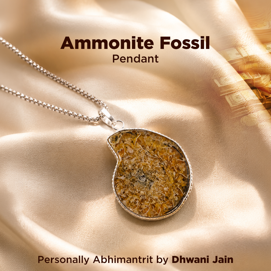 Ammonite fossil pendant on a chain with 'Dhwani Jain' branding on a beige fabric background.
