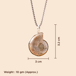 Necklace with a shell pendant on a beige background, showing measurements and weight.