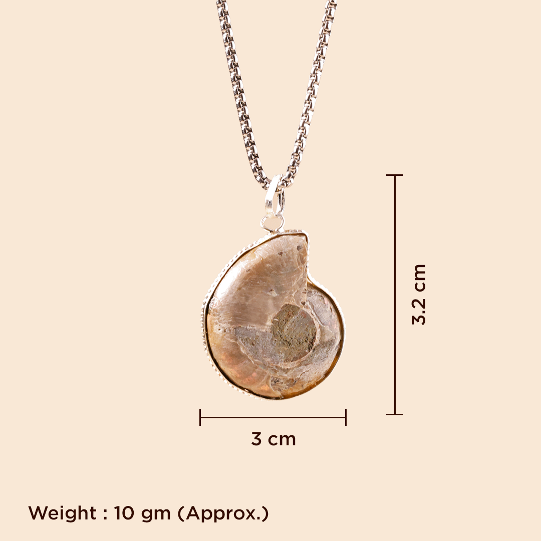 Necklace with a shell pendant on a beige background, showing measurements and weight.Ammonite Fossil Pendant for Prosperity, Protection & Spiritual Growth
