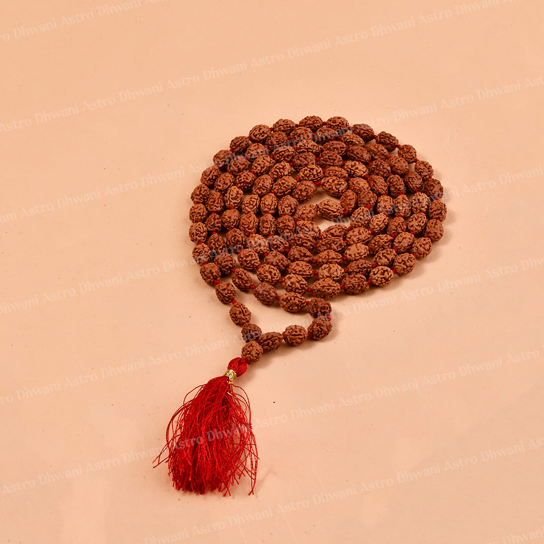 3 Mukhi Rudraksha Mala – Sacred Spiritual Necklace for Prayer, Meditation & Healing