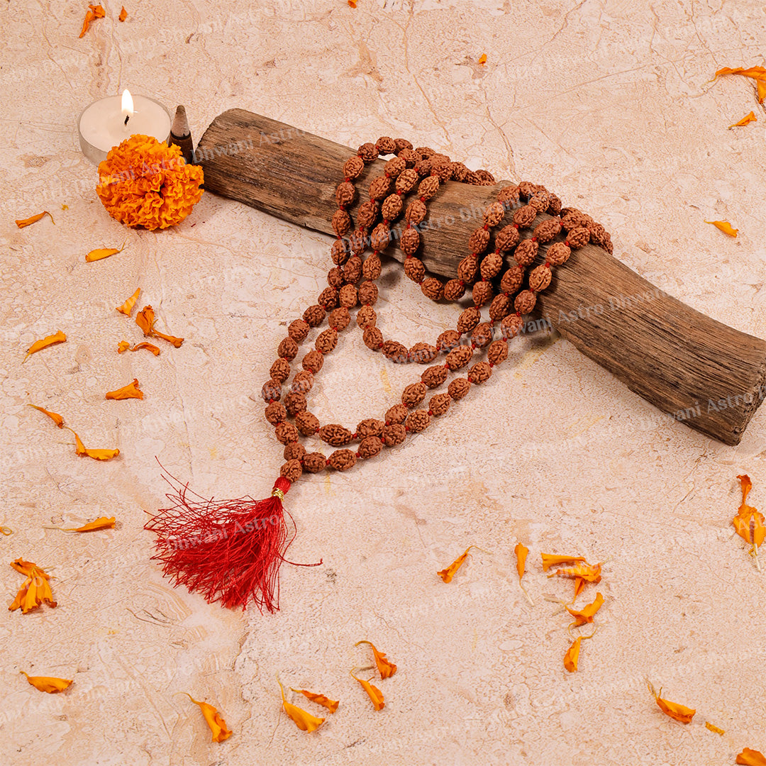 3 Mukhi Rudraksha Mala – Sacred Spiritual Necklace for Prayer, Meditation & Healing