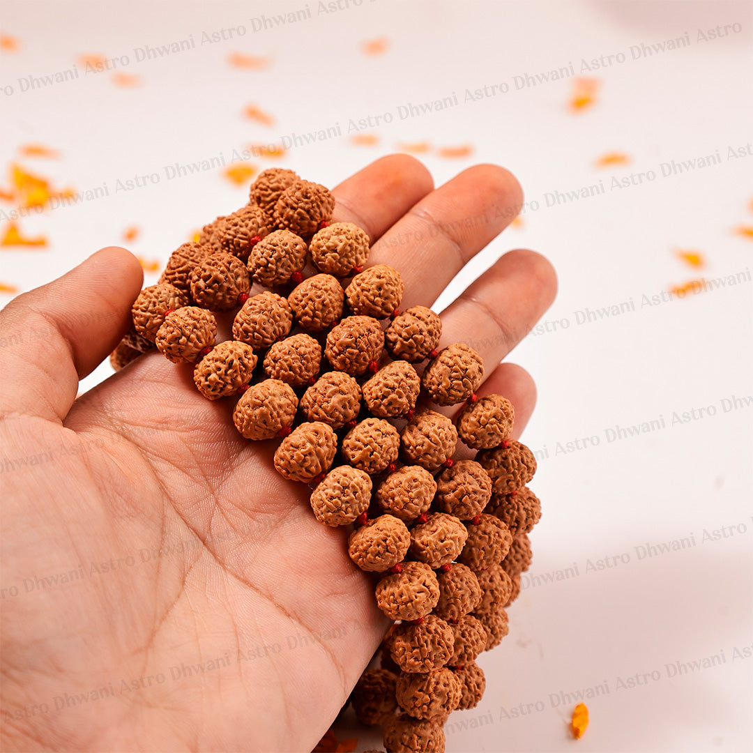 7 Mukhi Rudraksha Mala – Sacred Spiritual Necklace for Prosperity, Meditation & Inner Balance