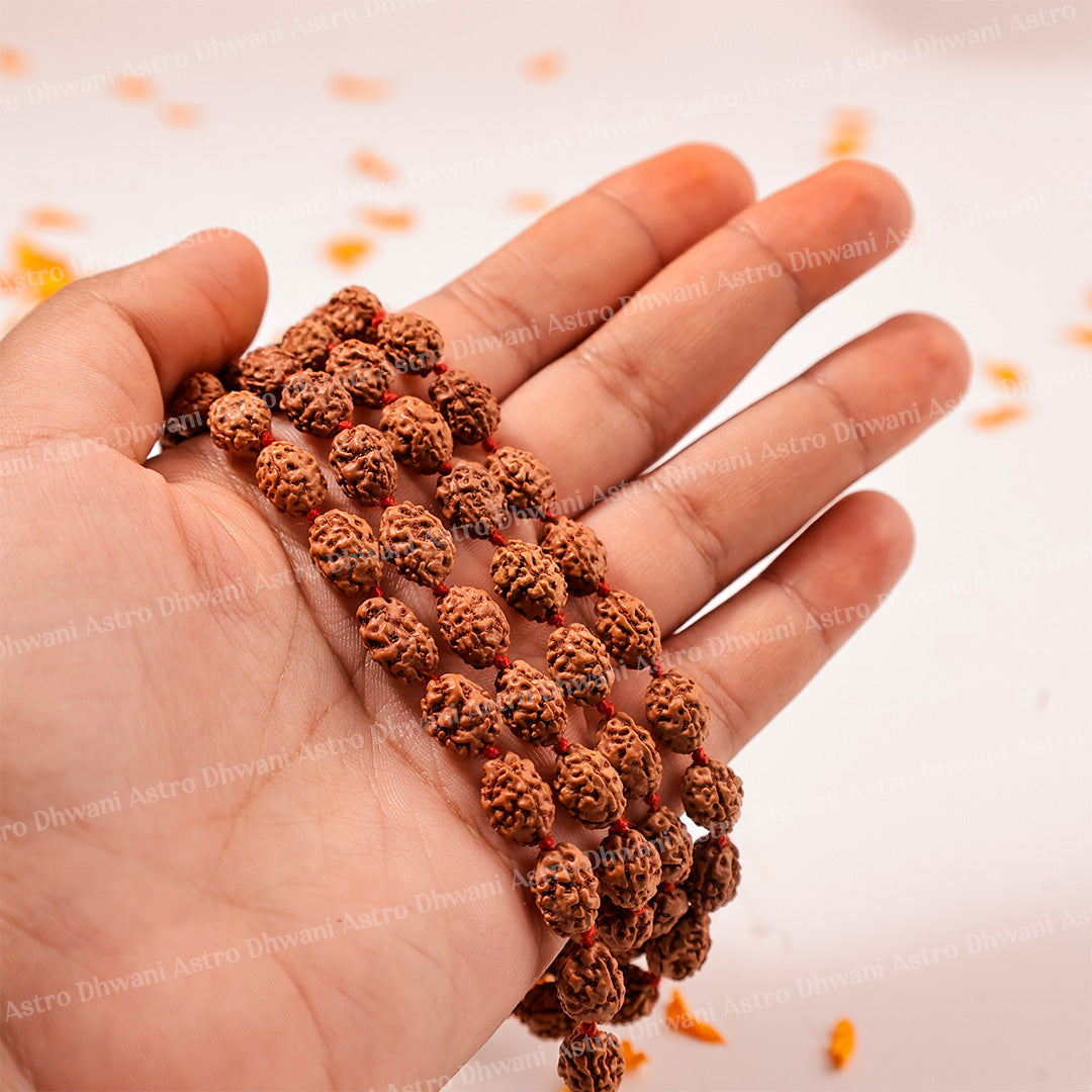 3 Mukhi Rudraksha Mala – Sacred Spiritual Necklace for Prayer, Meditation & Healing