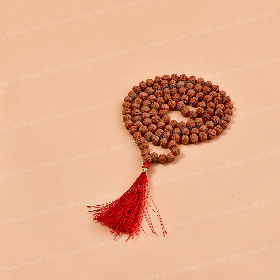 6 Mukhi Rudraksha Mala – Sacred Spiritual Necklace for Meditation, Strength & Lord Kartikeya Blessings