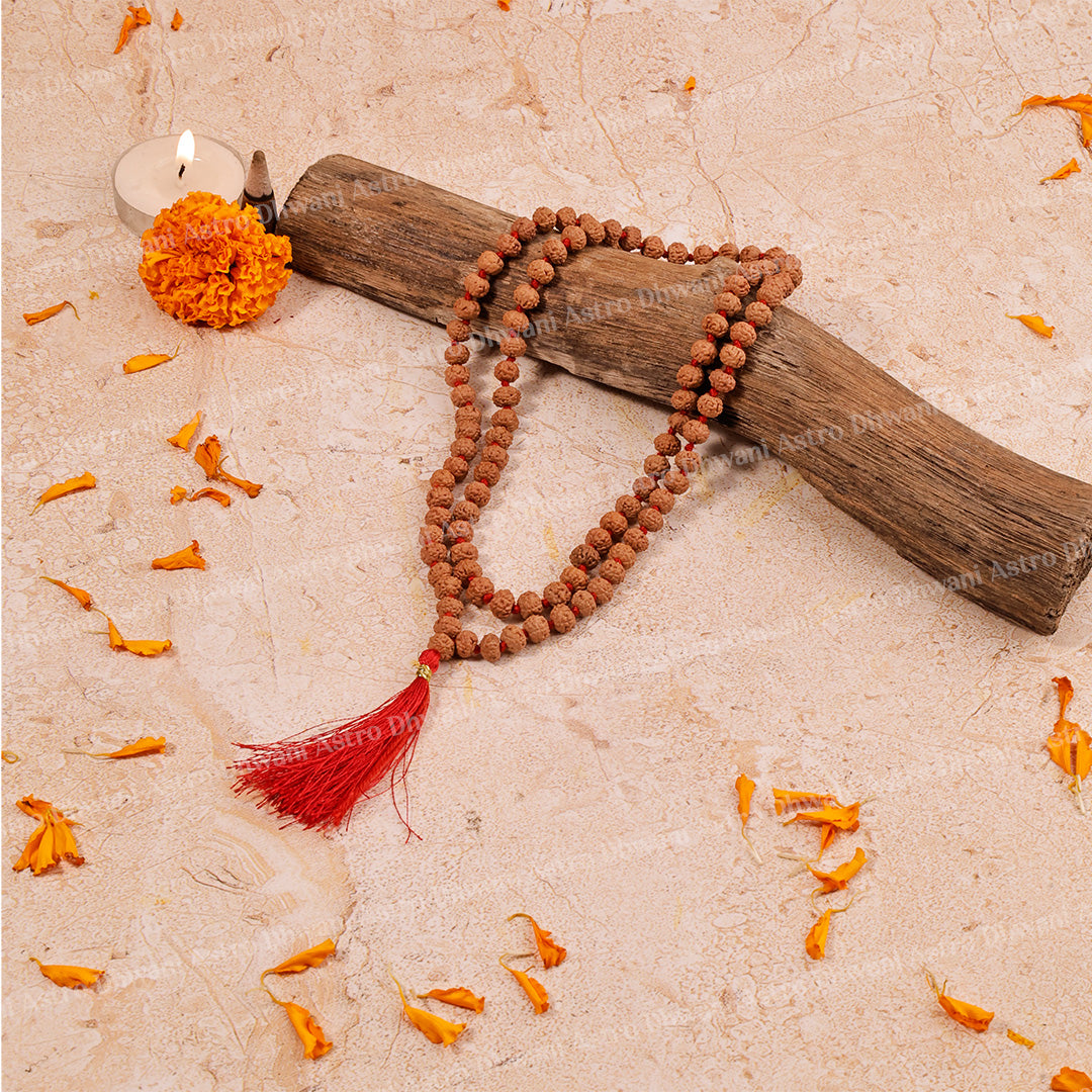 6 Mukhi Rudraksha Mala – Sacred Spiritual Necklace for Meditation, Strength & Lord Kartikeya Blessings