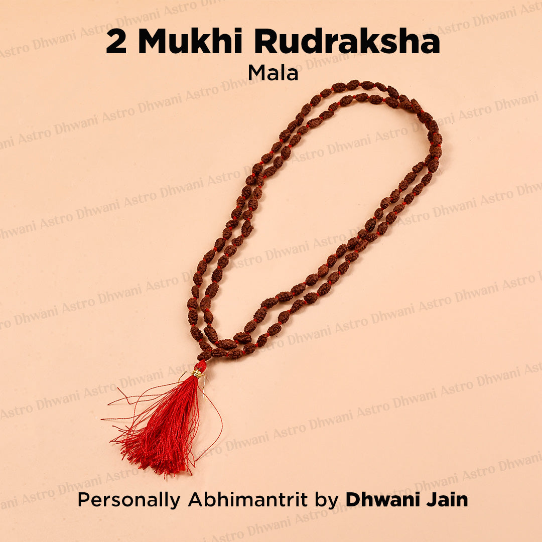 2 Mukhi Rudraksha Mala – Sacred Spiritual Necklace for Unity, Meditation & Divine Blessings